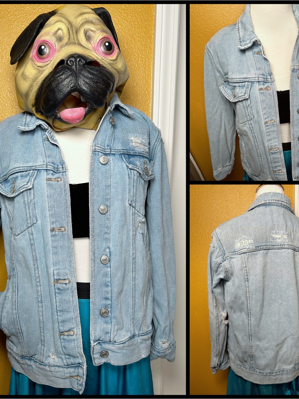 Staple, PAC SUN, distressed Jean jacket!!